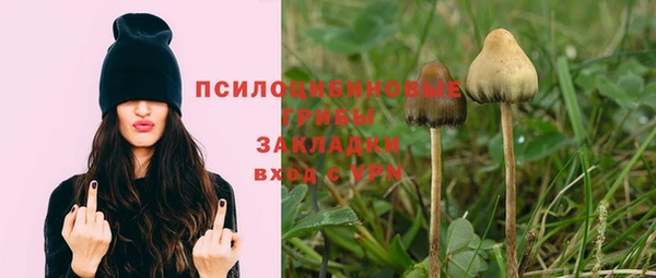 мяу мяу мука Алзамай