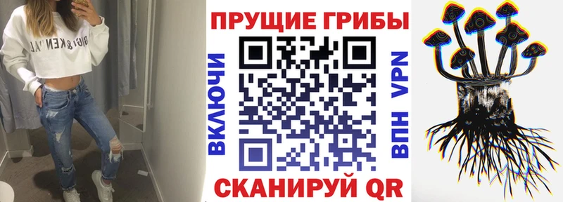 блэк спрут онион  Апшеронск  Галлюциногенные грибы MAGIC MUSHROOMS  купить наркотик 